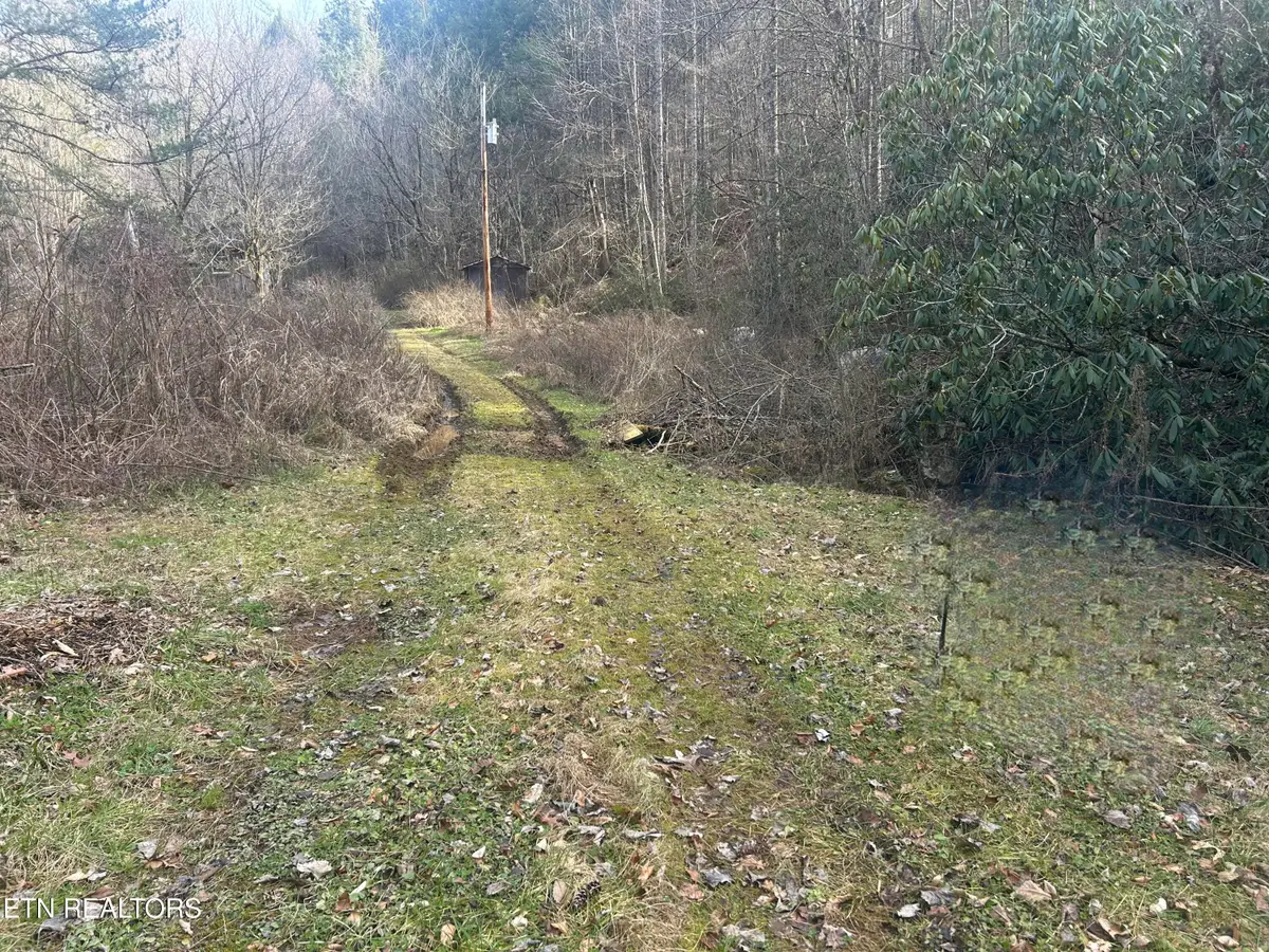 4438 Bruce Ogle Way Way, Pigeon Forge, TN 37863 - #1