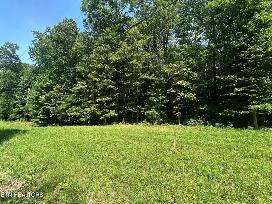 Lakeview 2 Highway 304, Ten Mile, TN 37880 - #3