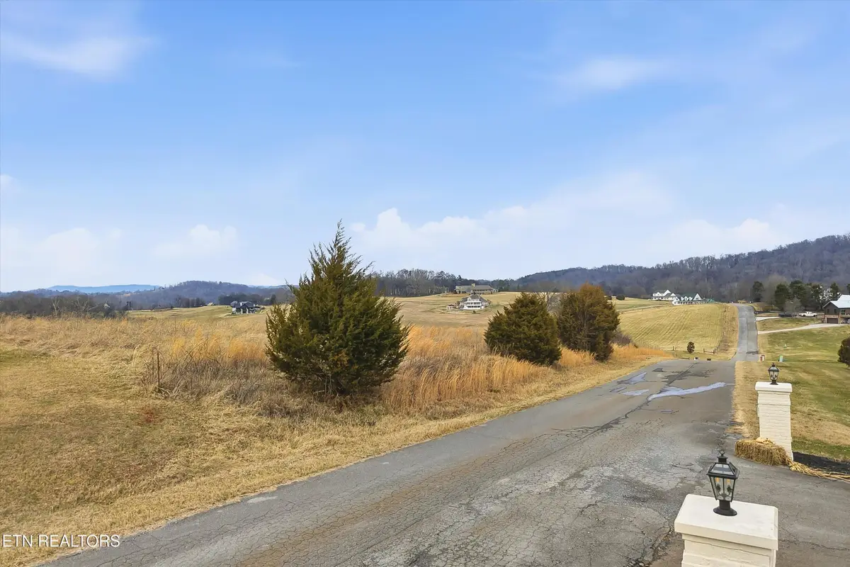 972 Cliff Top Rd, Blaine, TN 37709 - #1