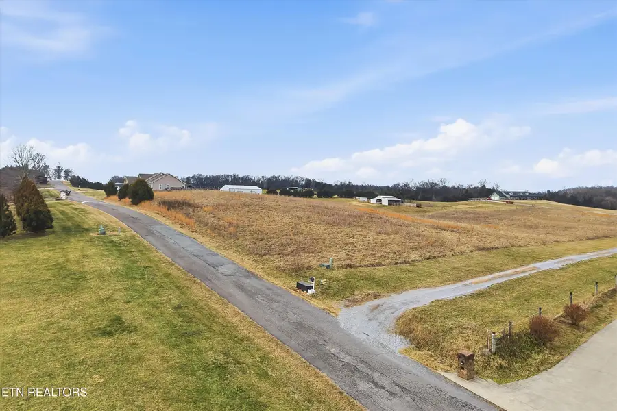 972 Cliff Top Rd, Blaine, TN 37709 - #2