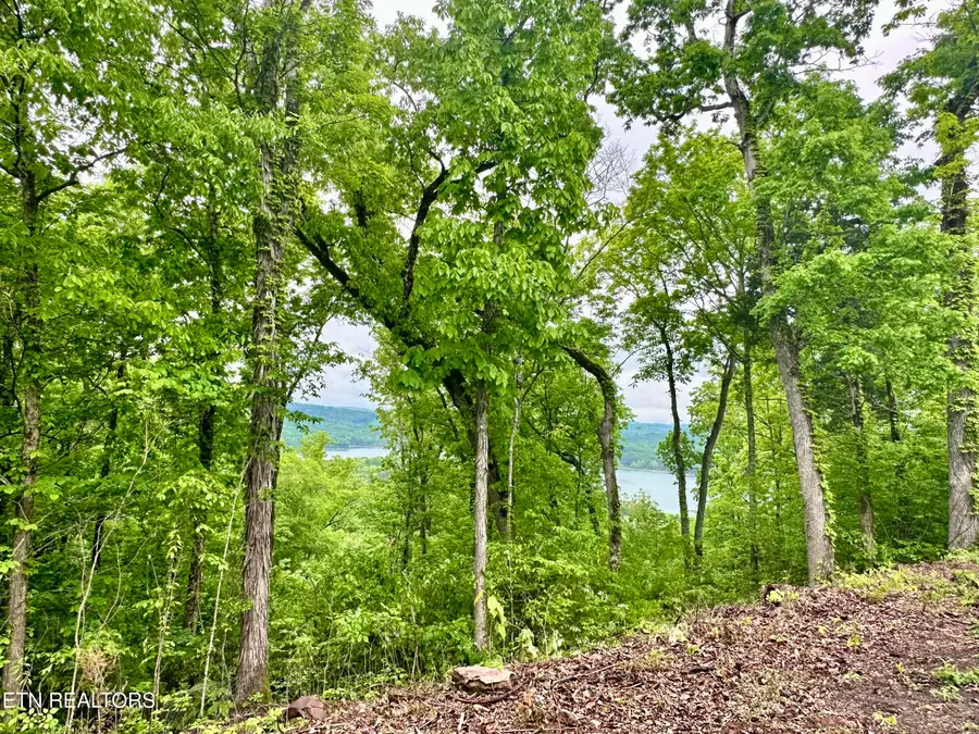 Lot 731 Russell Brothers Rd, Sharps Chapel, TN 37866 - #3