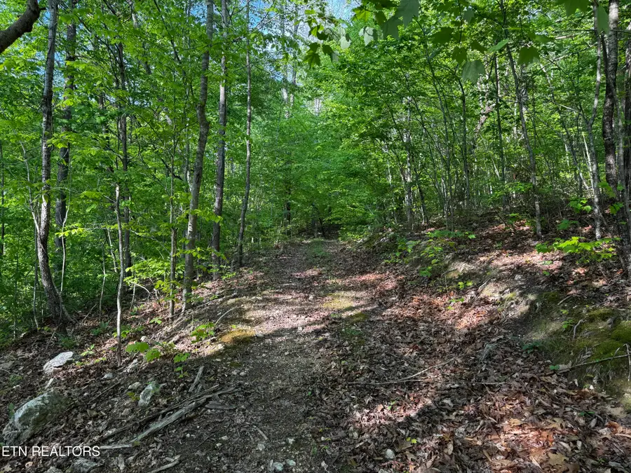 Baltimore Rd, Washburn, TN 37888 - #2