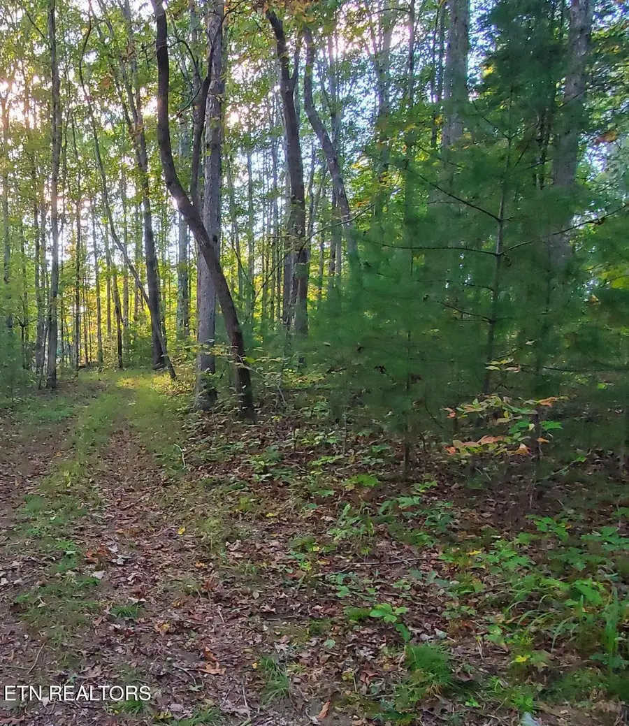 2036 Helenwood Detour Rd, Helenwood, TN 37755 - #3