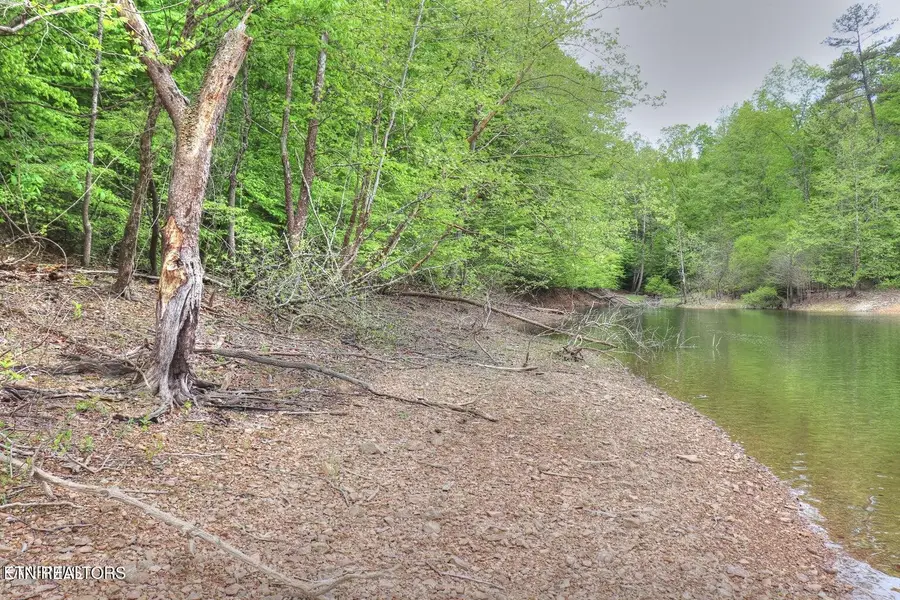Lot 427 Mountain Shores Rd, New Tazewell, TN 37825 - #3