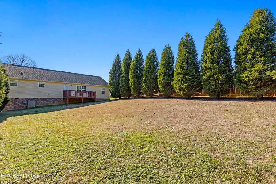 155 Dogwood Lane, Spring City, TN 37381 - #3