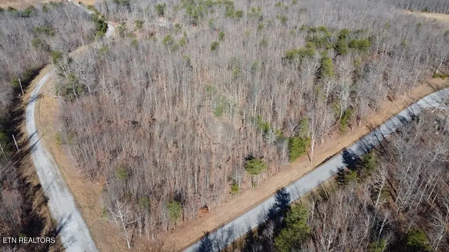 46A Gray Rock View, Pikeville, TN 37367 - #2