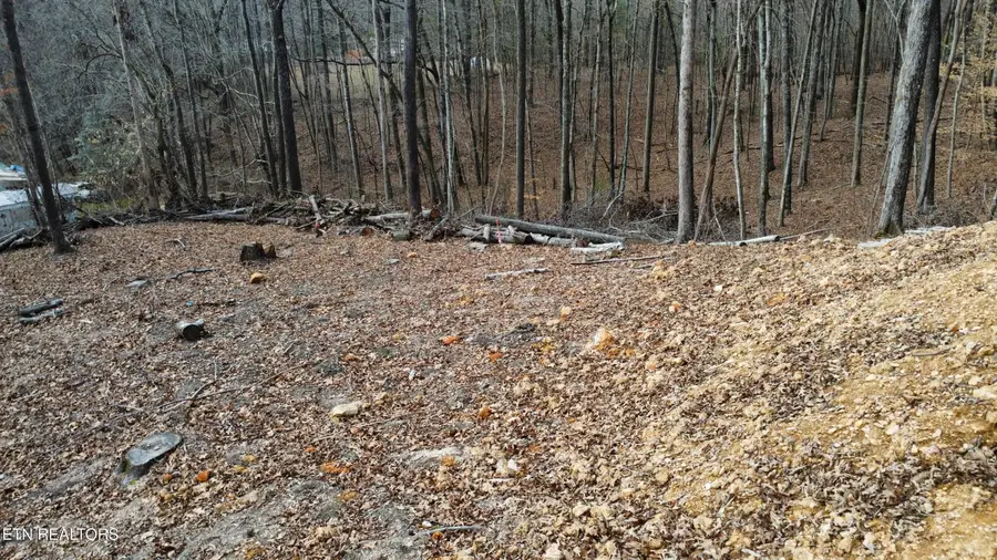 111 Scenic Drive, Harriman, TN 37748 - #2