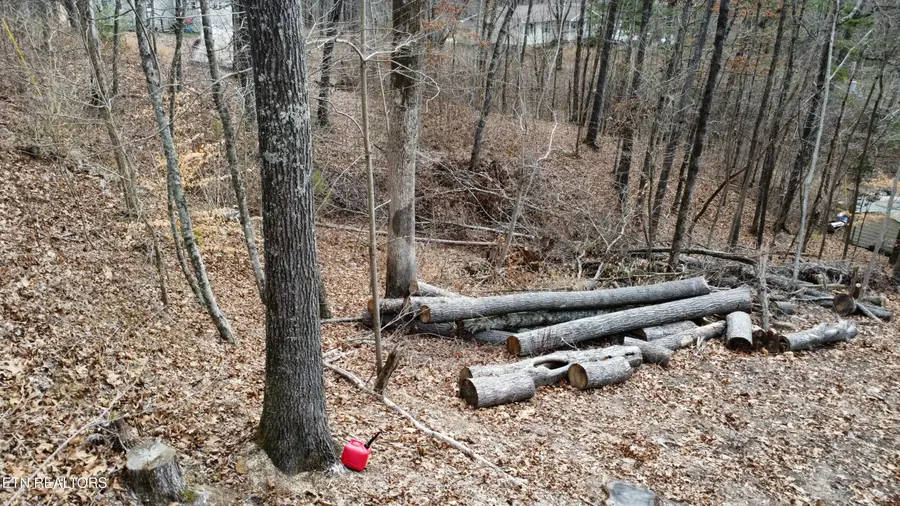 111 Scenic Drive, Harriman, TN 37748 - #3