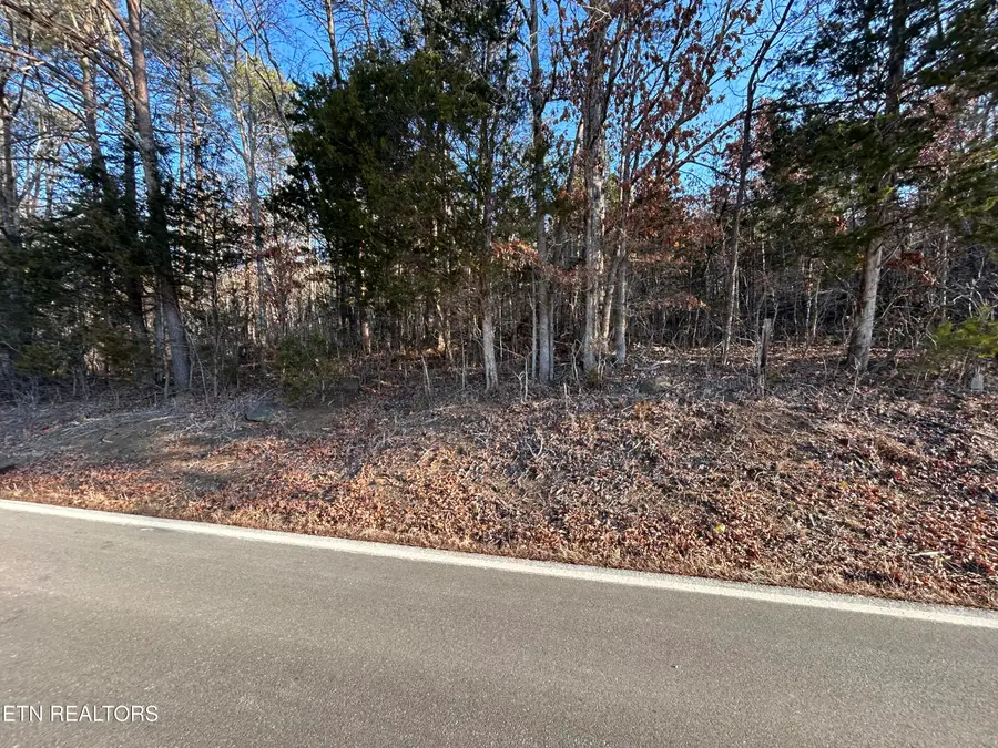 5 Acres N White Pine Road, Talbott, TN 37877 - #2