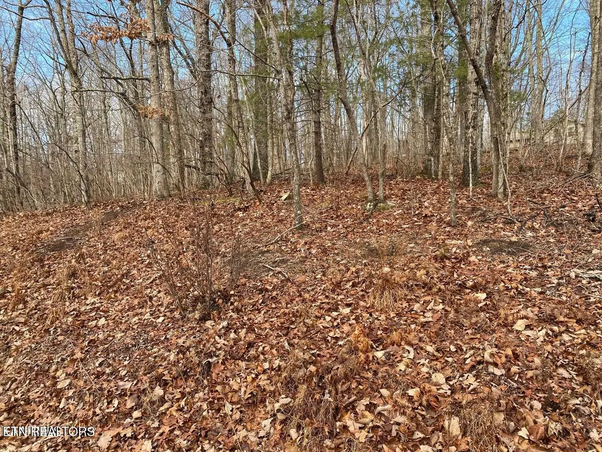 116 Overlook Cove, Crossville, TN 38558 - #1