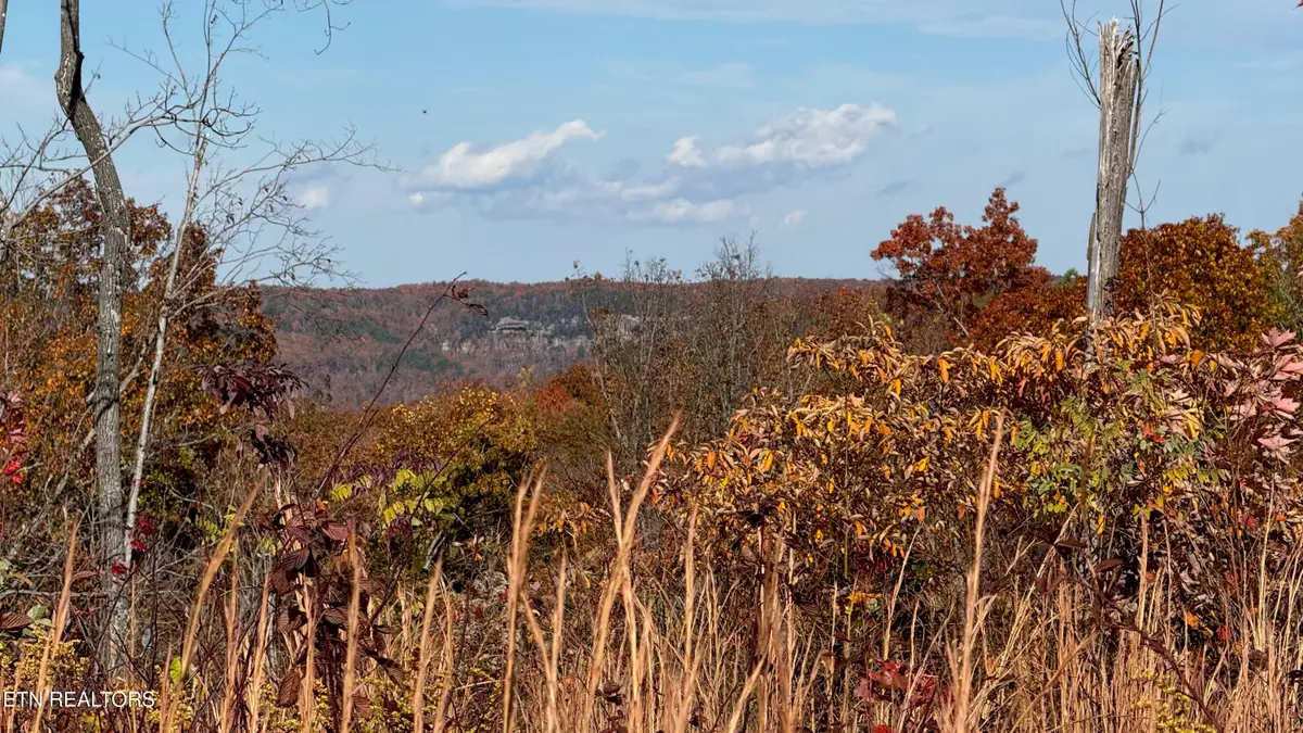 161 Aspen Heights Drive, Jamestown, TN 38556 - #1