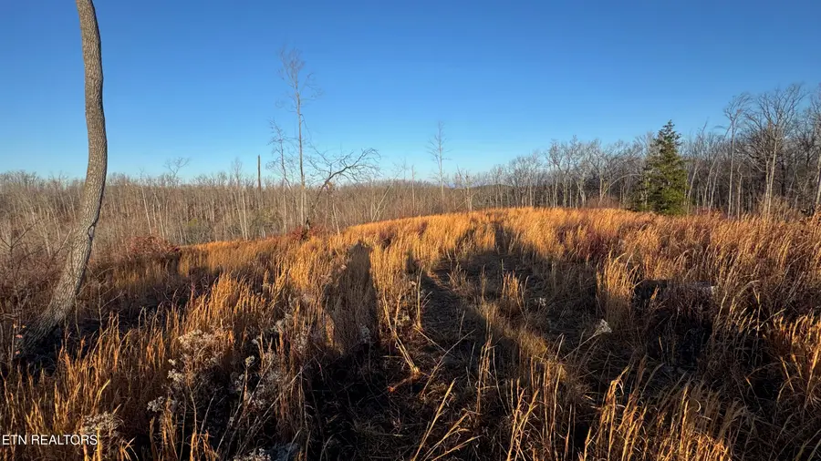 161 Aspen Heights Drive, Jamestown, TN 38556 - #2