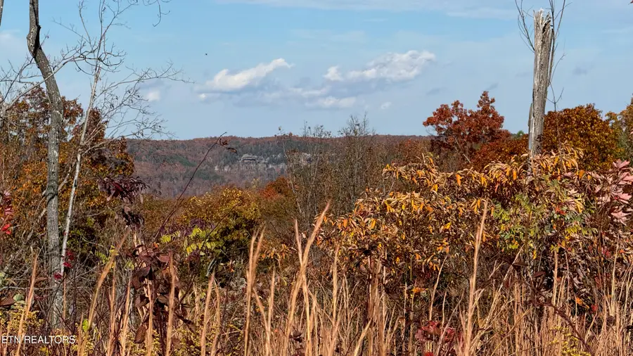 161 Aspen Heights Drive, Jamestown, TN 38556 - #3