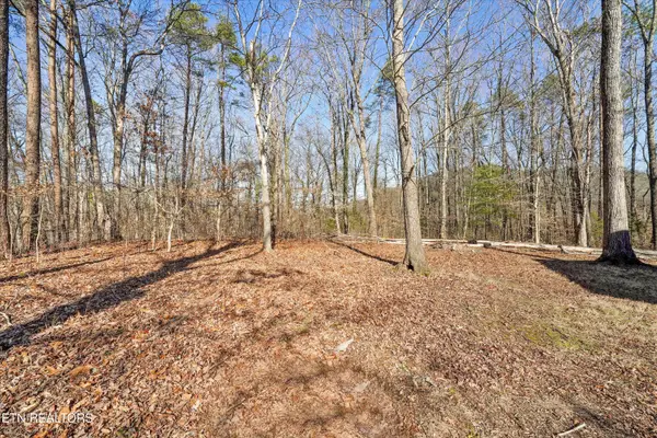 Charles Young Rd, Walland, TN 37886