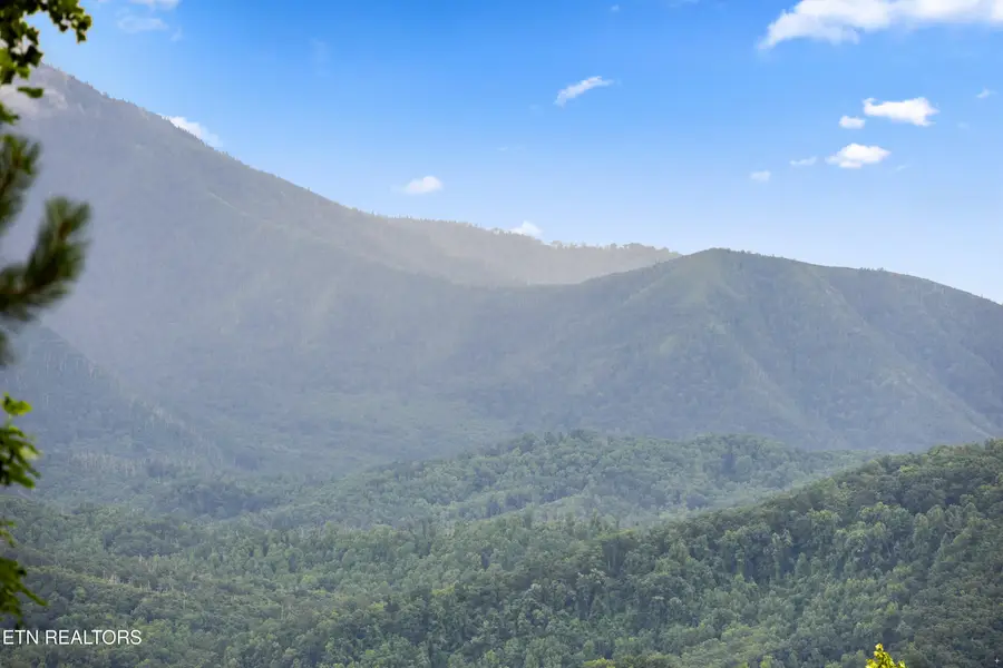 810 Valley View Lane, Gatlinburg, TN 37738 - #3
