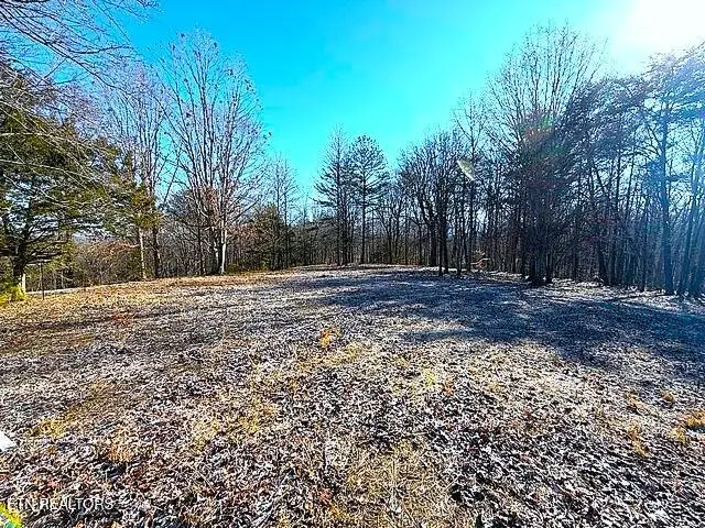 Under The Sun Rd, Cosby, TN 37722 - #1