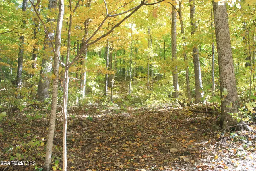 Cheyenne Drive, Jamestown, TN 38556 - #2