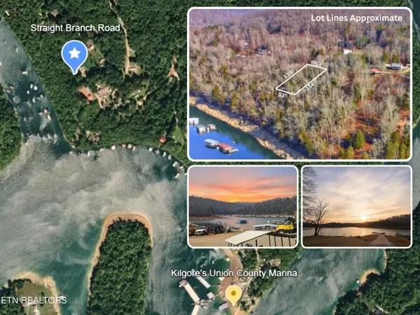 Straight Branch Rd, Speedwell, TN 37870