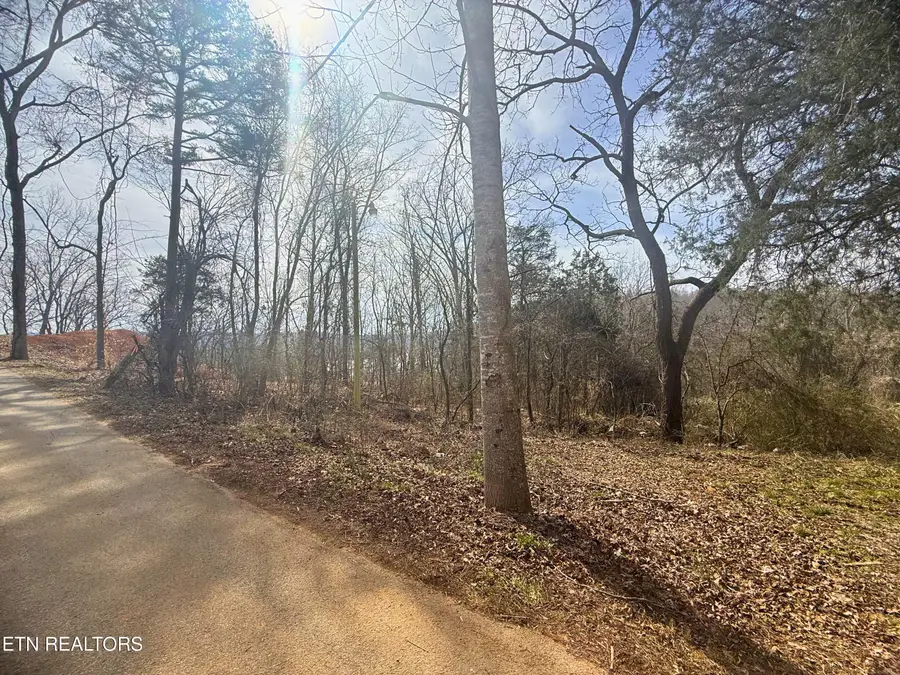 Straight Branch Rd, Speedwell, TN 37870 - #2