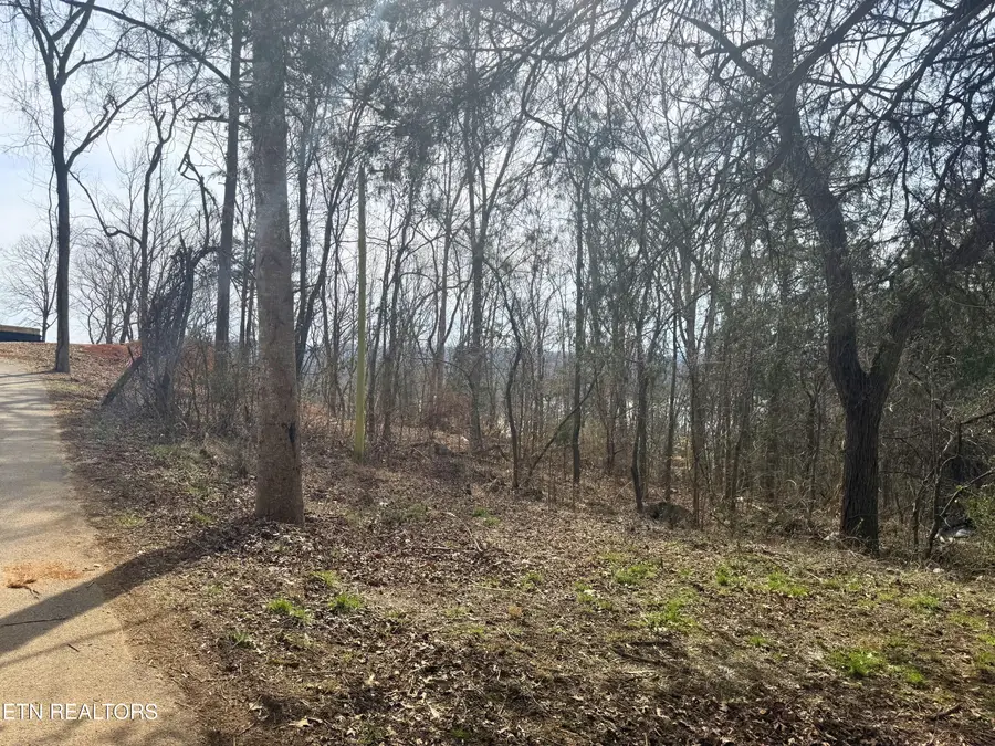 Straight Branch Rd, Speedwell, TN 37870 - #3