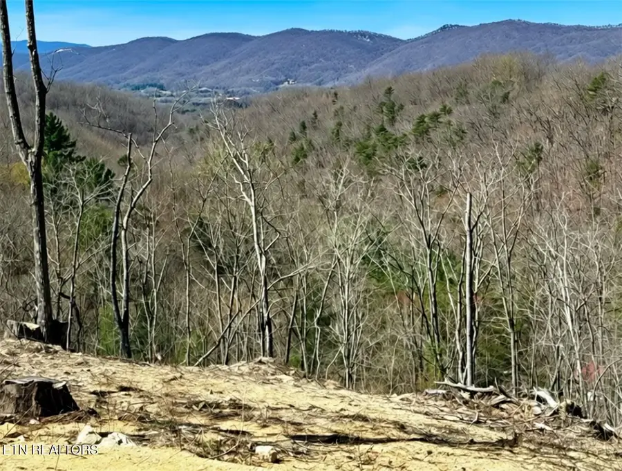 Lot 19-22 Demory Rd, Lafollette, TN 37766 - #2