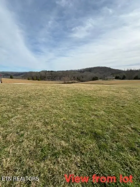 Lot 13 Holly Bend Drive, Byrdstown, TN 38549 - #3