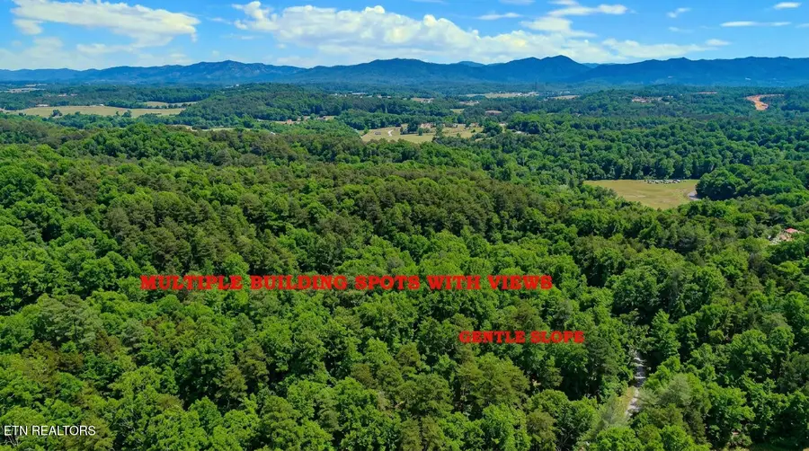 Lot 44 Cedarwood Circle, Newport, TN 37821 - #3