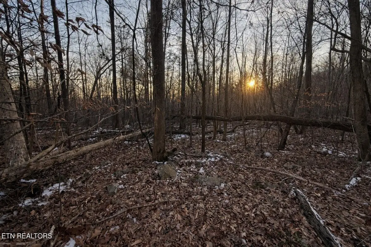 Hayes Lane E Of, Lafollette, TN 37766 - #1