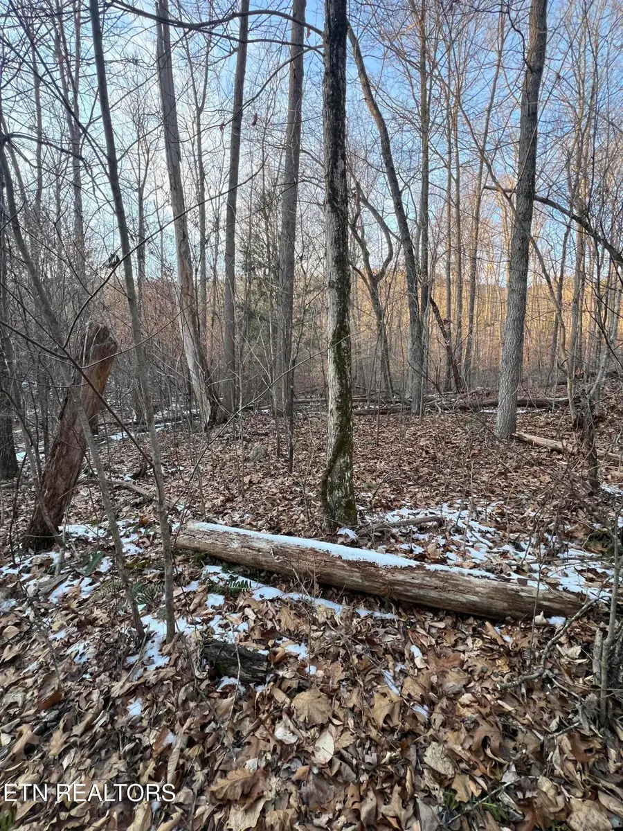 Hayes Lane E Of, Lafollette, TN 37766 - #3