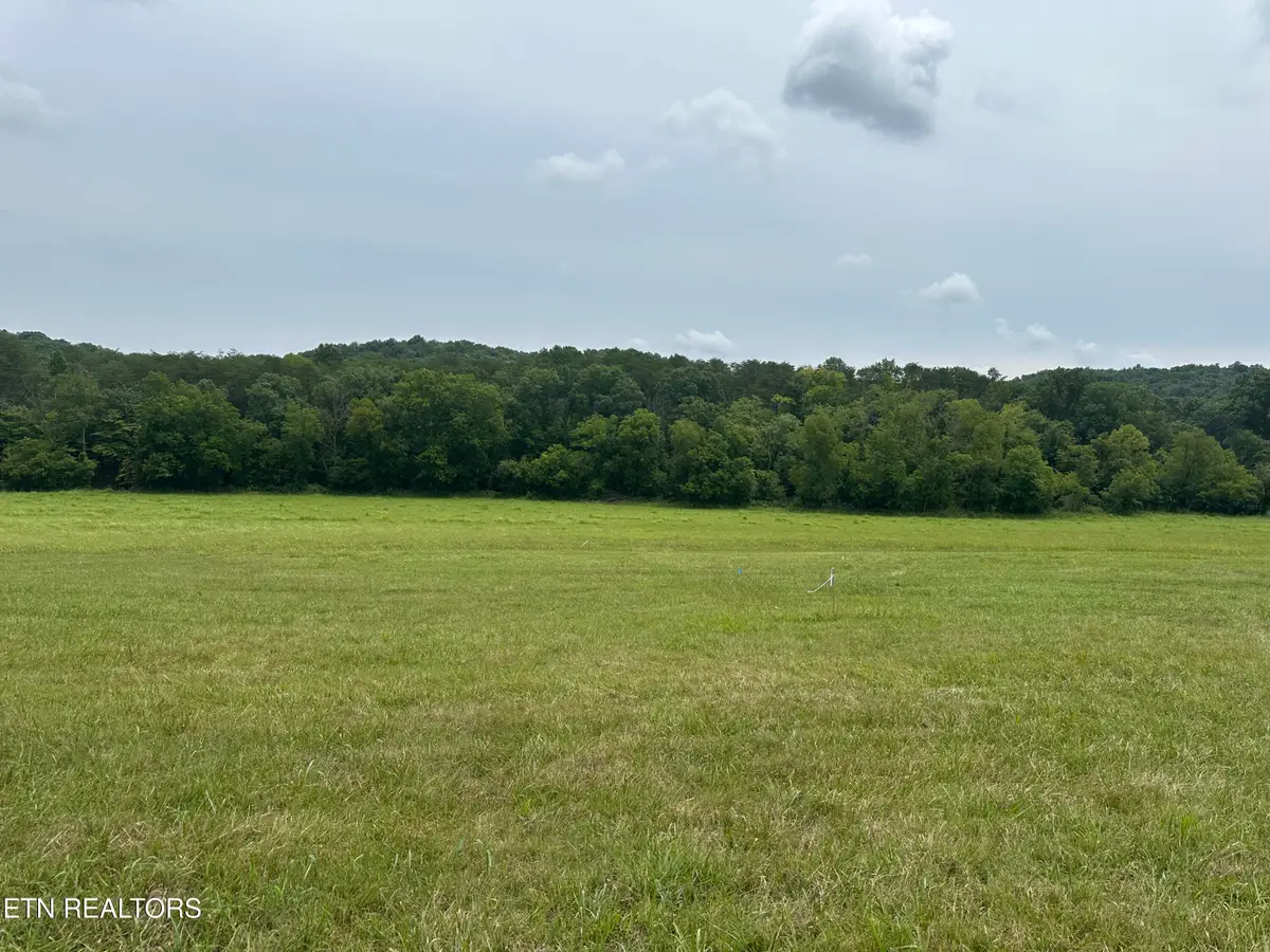 Lot 2 Rutledge Pike, Blaine, TN 37709 - #1