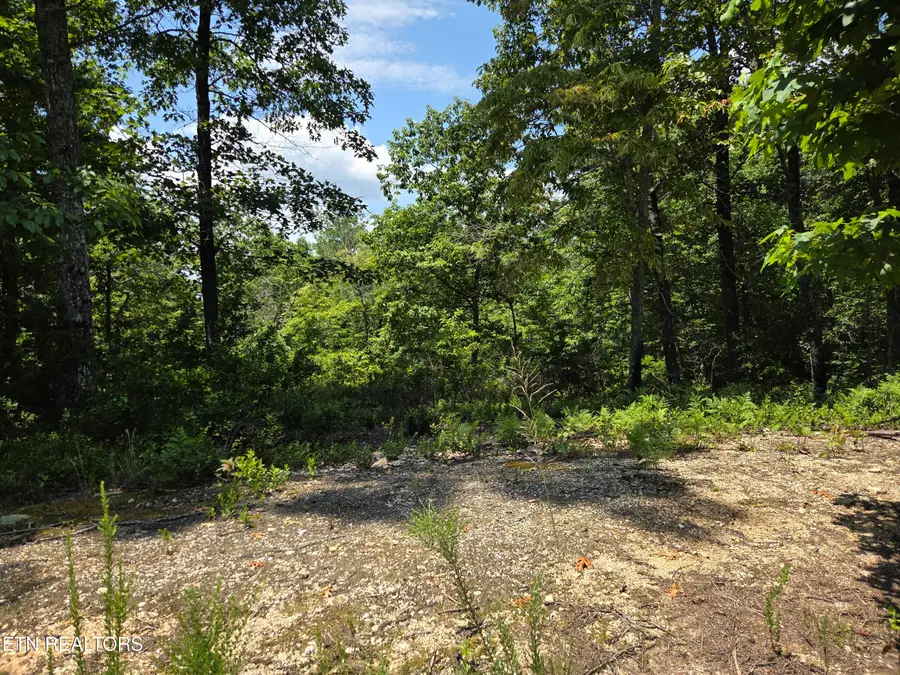 391 Thief Neck View Drive, Rockwood, TN 37854 - #2