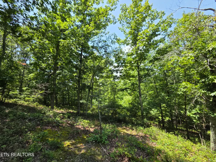 391 Thief Neck View Drive, Rockwood, TN 37854 - #3