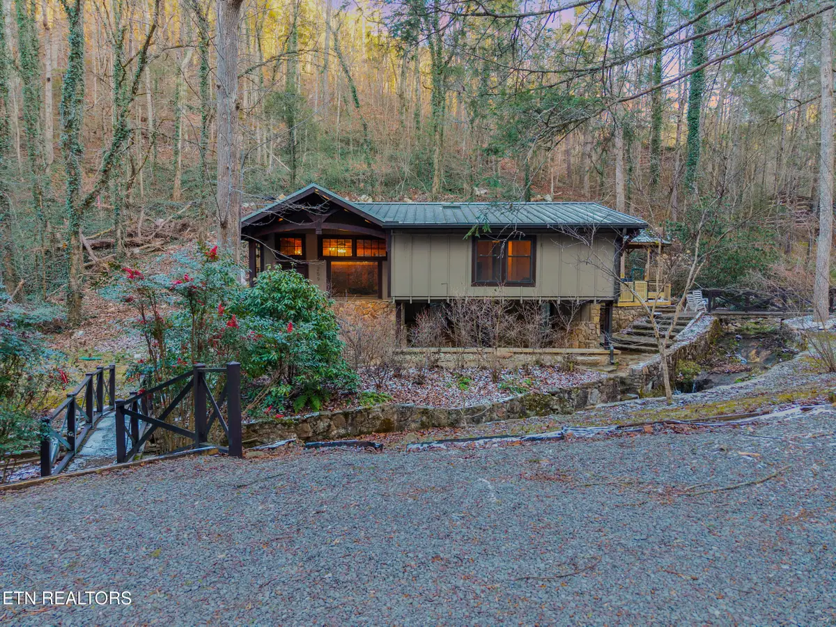 259 Black Mash Hollow Rd, Townsend, TN 37882 - #1