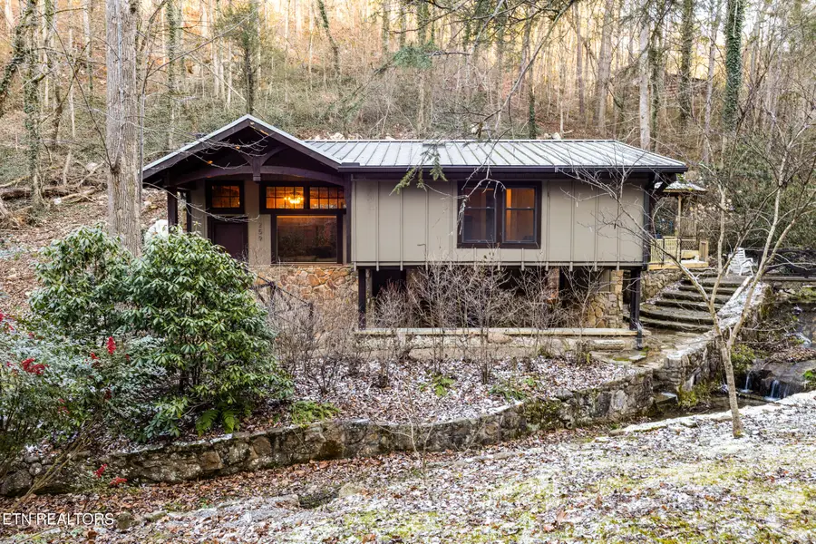 259 Black Mash Hollow Rd, Townsend, TN 37882 - #3