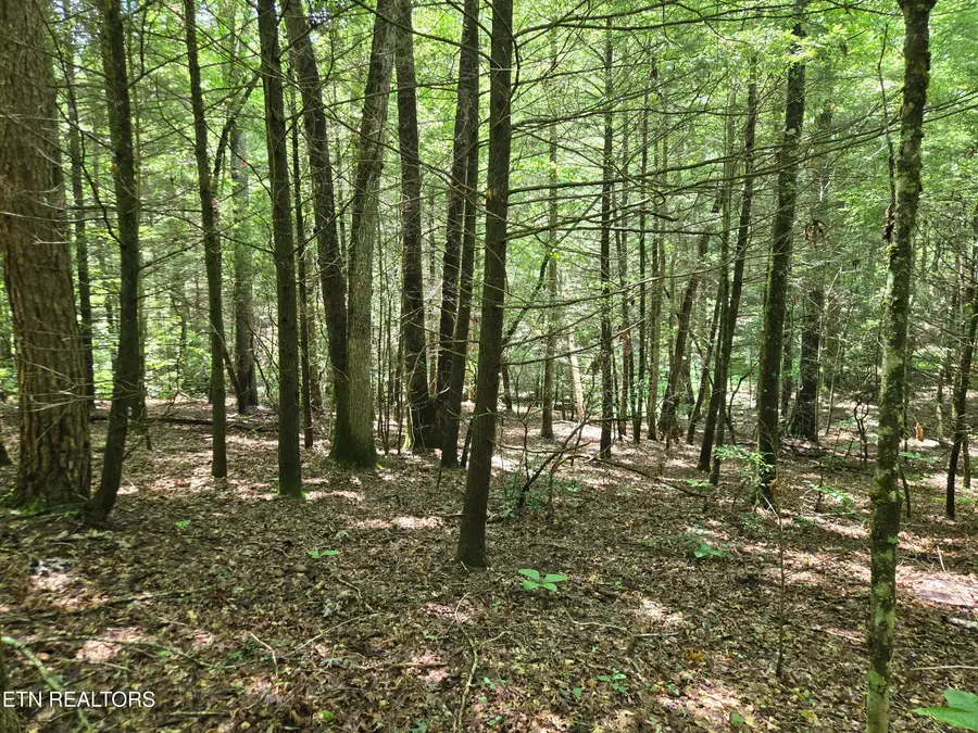 523 General Lane, Jamestown, TN 38556 - #3