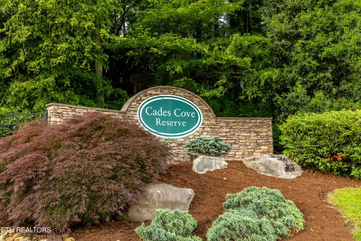 326 Shooting Star Loop #201, Townsend, TN 37882 - #1