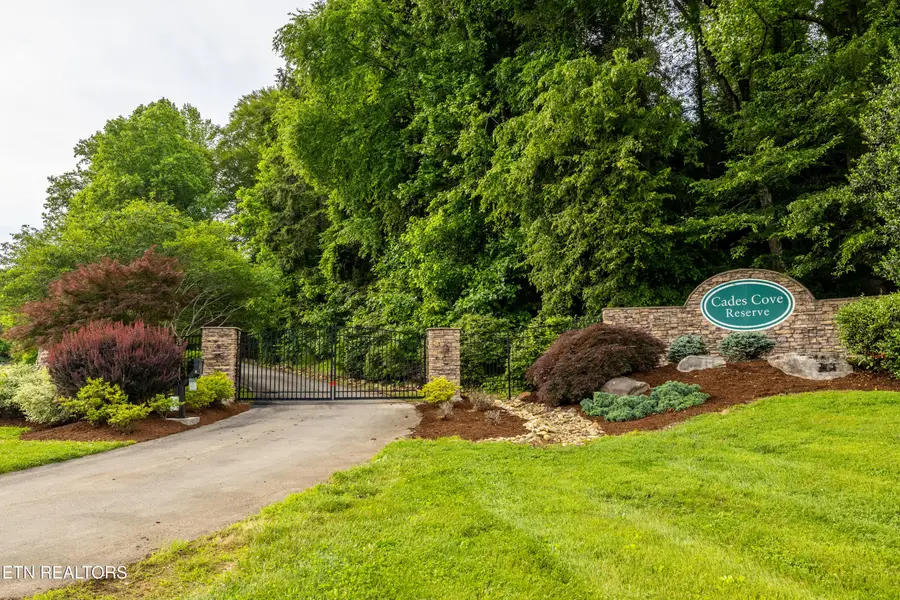 326 Shooting Star Loop #201, Townsend, TN 37882 - #2