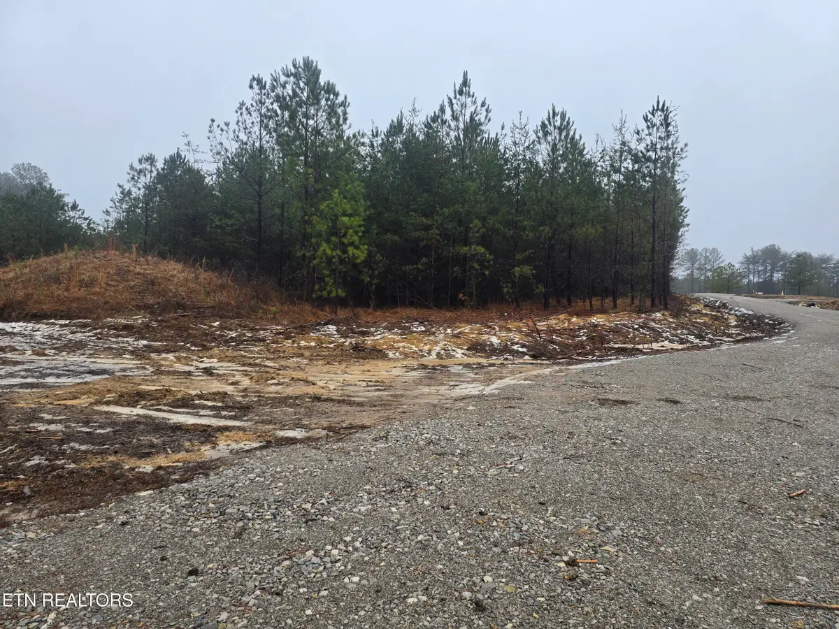 lot 12 Stirrup Lane, Jamestown, TN 38556 - #1