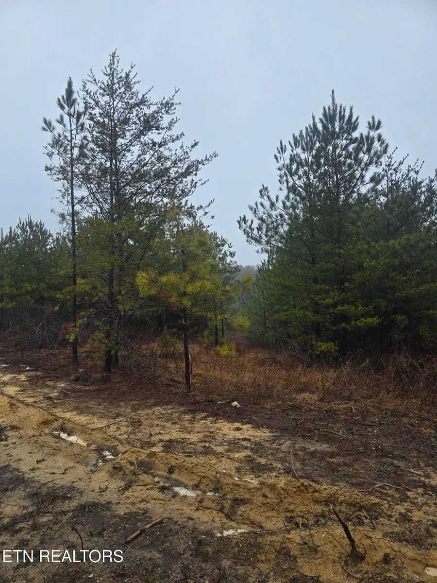 lot 12 Stirrup Lane, Jamestown, TN 38556 - #2