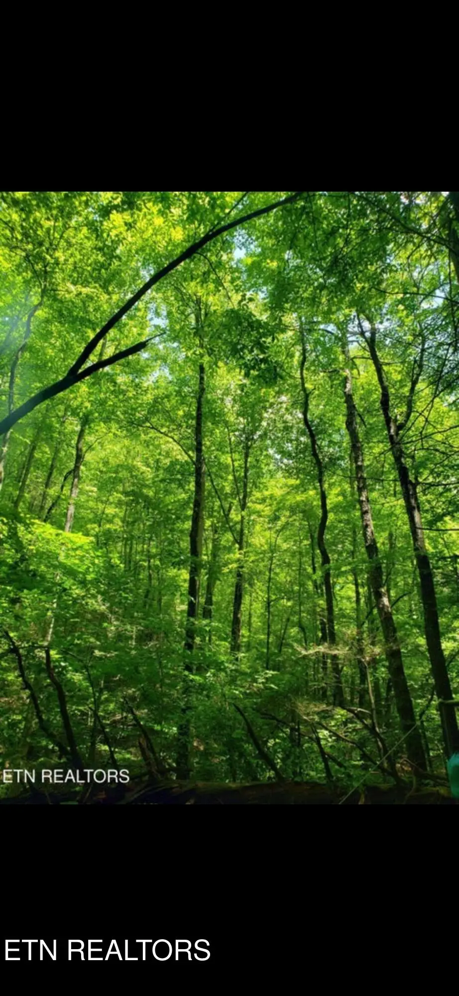 Watson Hollow Rd, Speedwell, TN 37870 - #1