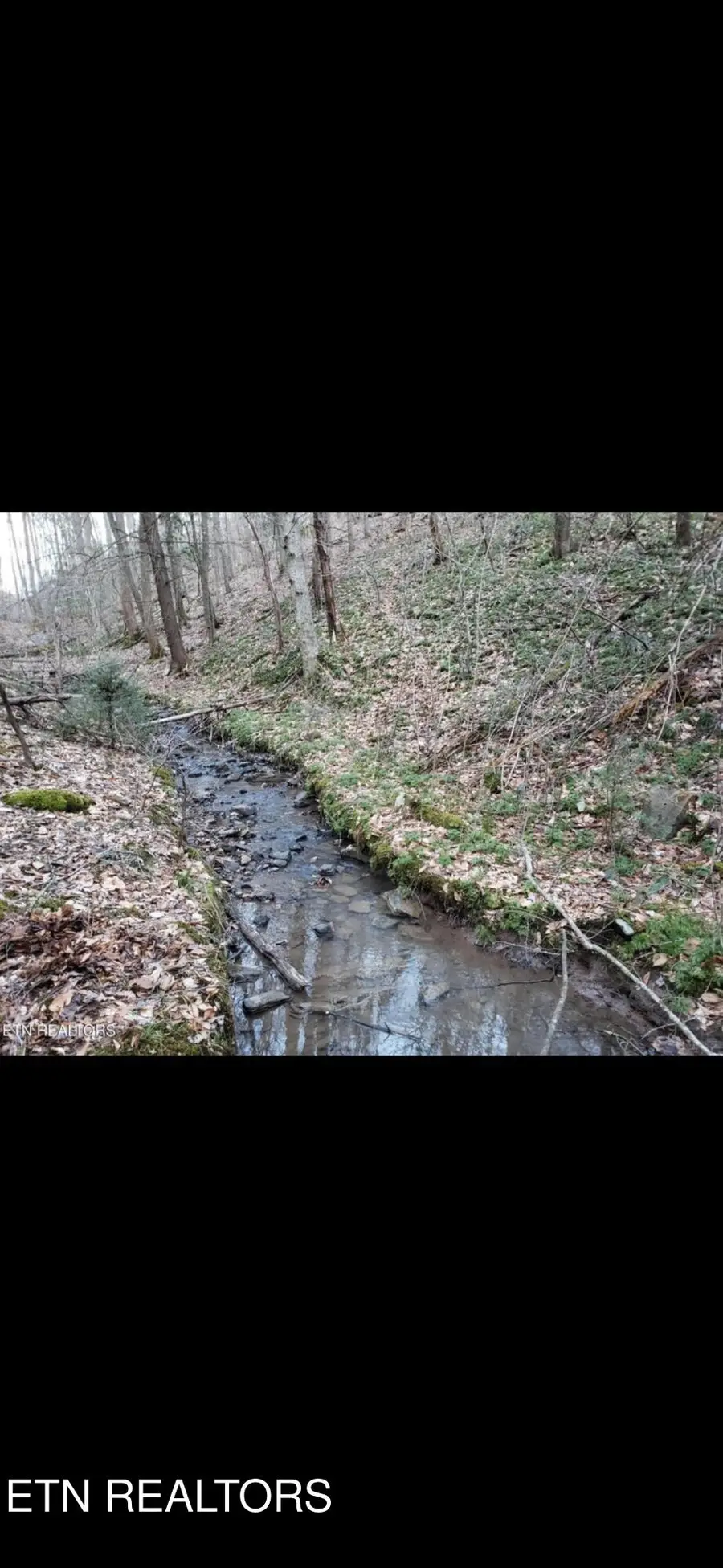 Watson Hollow Rd, Speedwell, TN 37870 - #3