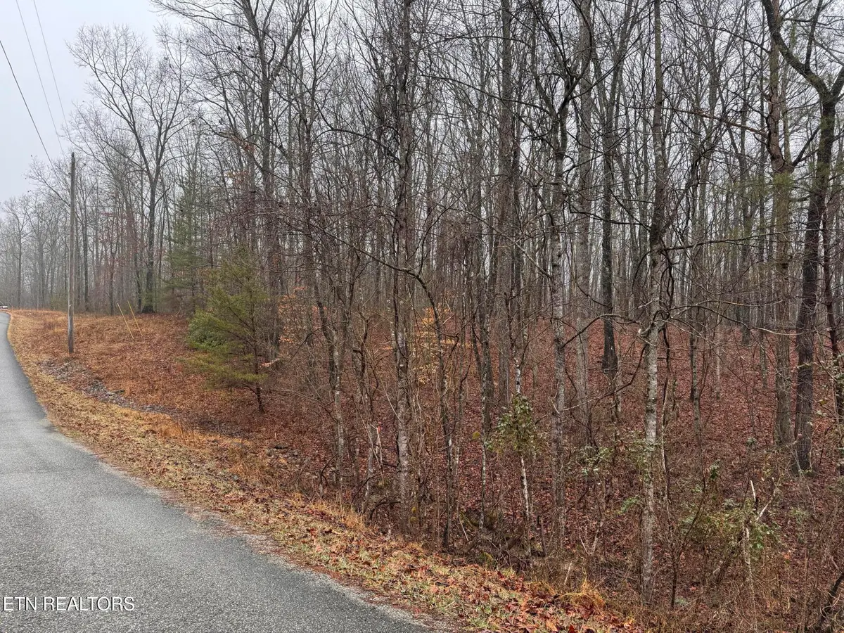 Arbutus Trail (aka Silcox Ford Rd S/0), Helenwood, TN 37755 - #1