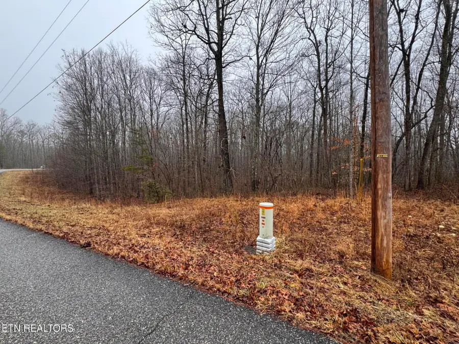 Arbutus Trail (aka Silcox Ford Rd S/0), Helenwood, TN 37755 - #3