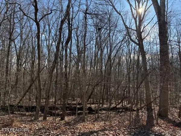 113 Overlook Cove, Crossville, TN 38558