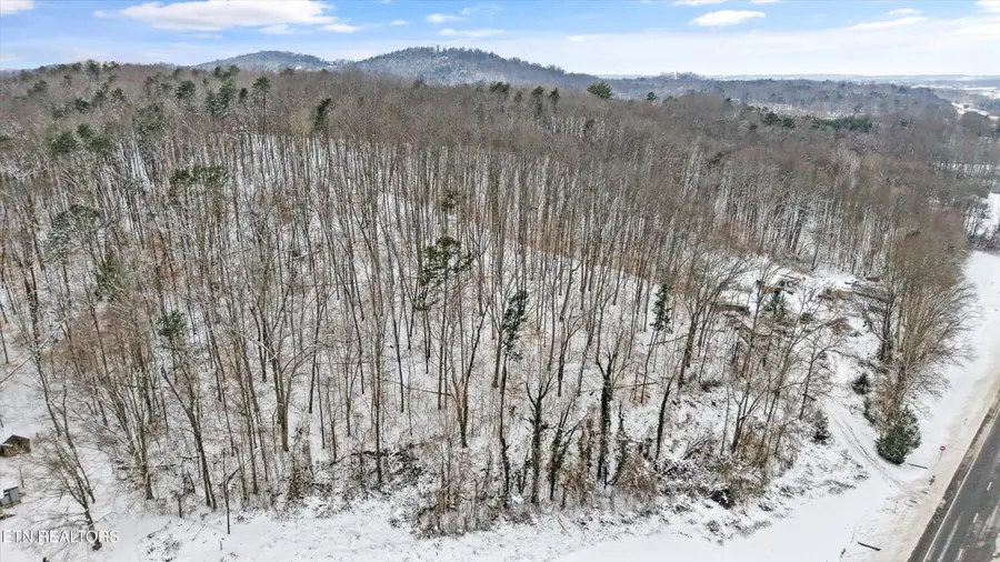 4532 E Lamar Alex Pkwy, Walland, TN 37886 - #2