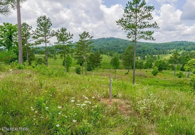 915 Eagle Nest Drive, Loudon, TN 37774 - #1