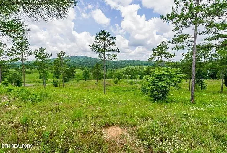 915 Eagle Nest Drive, Loudon, TN 37774 - #2