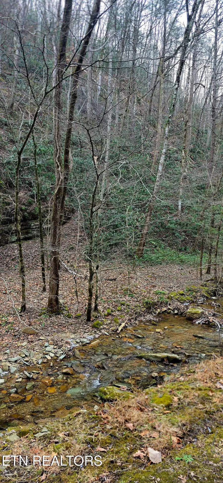 N Clear Fork Rd, Sevierville, TN 37862 - #3