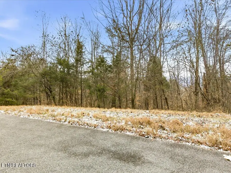 Lot 499 Citron Lane, New Tazewell, TN 37825 - #3