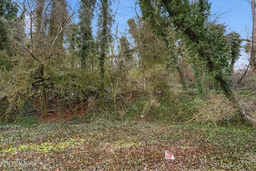 0 Irene Ave, Knoxville, TN 37920 - #3
